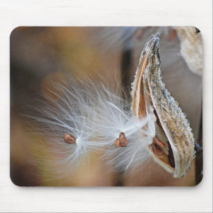 Mousepad Macro Milkweed Pod