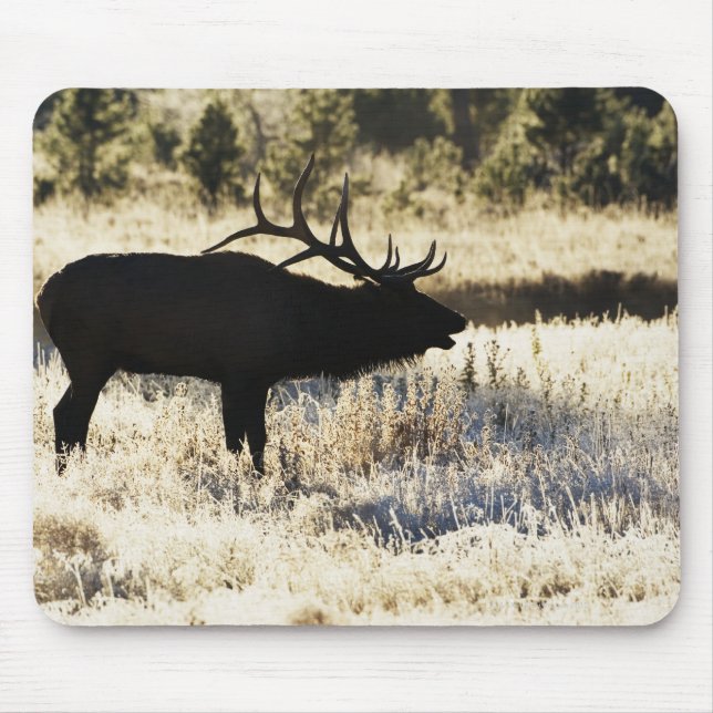 Mousepad Madison River, Yellowstone NP, Wyoming, EUA (Frente)