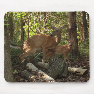 Mousepad Madre e bebê veados no Parque Nacional de Shenando
