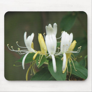 Mousepad Madressilva