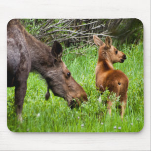 Mousepad Mãe alerta e bebê de dois alces