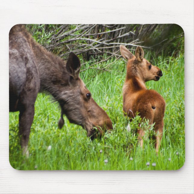 Mousepad Mãe alerta e bebê de dois alces (Frente)