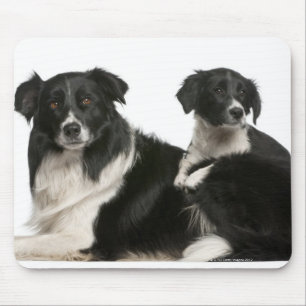 Mousepad Mãe border collie e filhote de cachorro