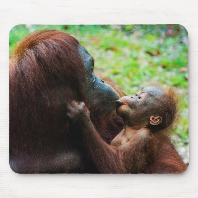 Mousepad Mãe de orangotango com bebê (Frente)