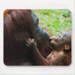 Mousepad Mãe de orangotango e bebê