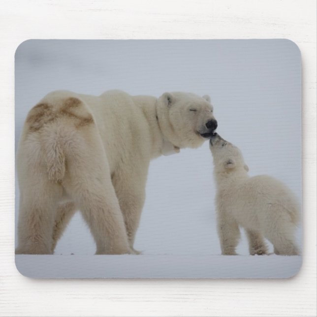 Mousepad Mãe do urso polar com Cub (Frente)