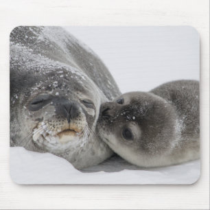 Mousepad Mãe E Bebê Fala Amor
