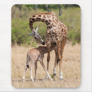 Mousepad Mãe e bebê girafa no Quênia