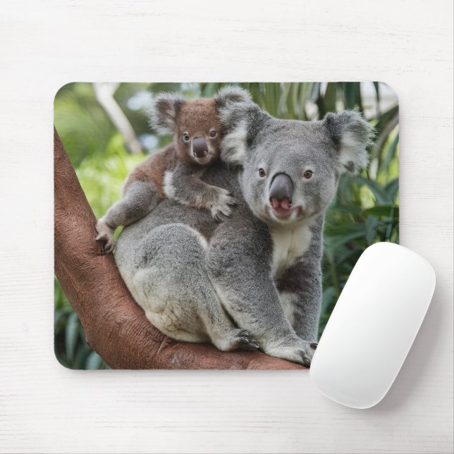 Mousepad Mãe e Bebê Koala Bear (Com mouse)