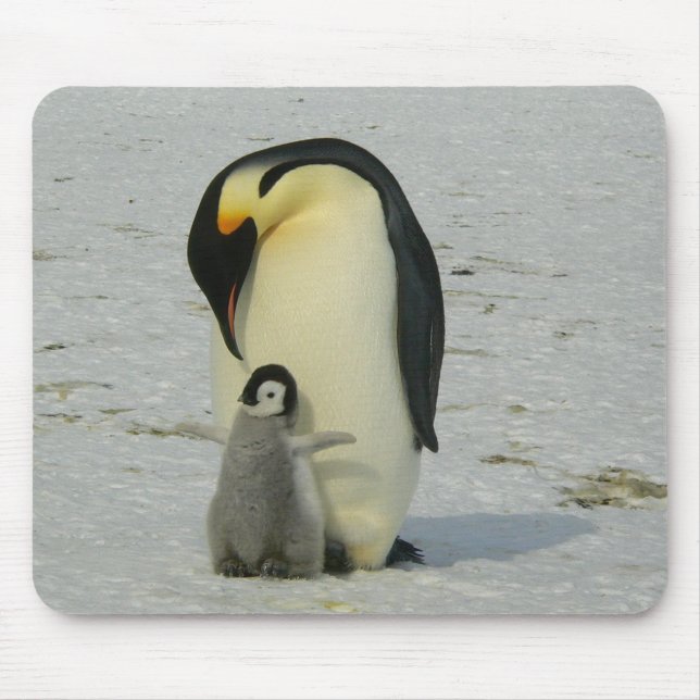 Mousepad Mãe e Pinguim Bebê (Frente)