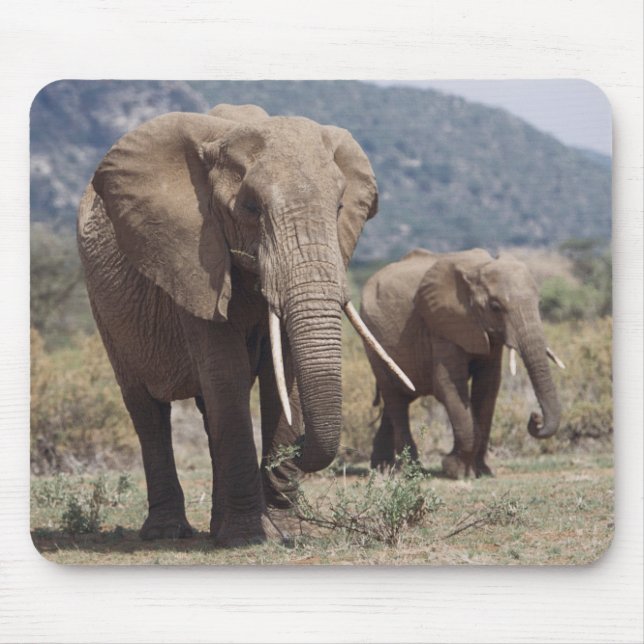 Mousepad Mãe elefante andando com filhote de elefante (Frente)
