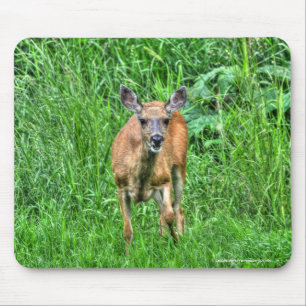 Mousepad Mãe Mule Deer, mãe feminina, em Ranch Wildlife Pho