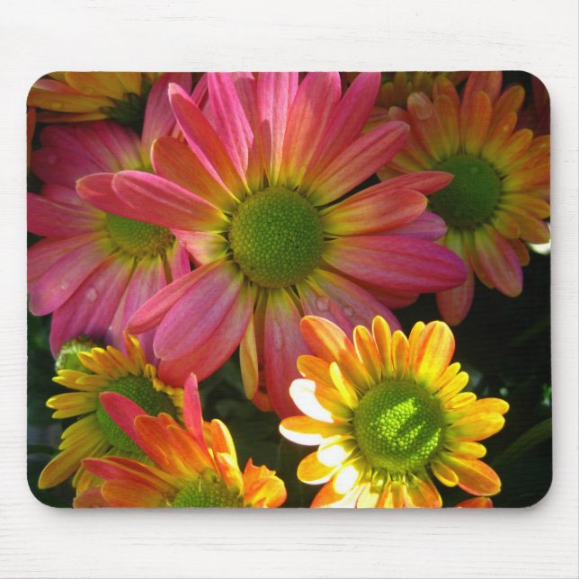 Mousepad Mães amarelas e cor-de-rosa brilhantes na proteção (Frente)