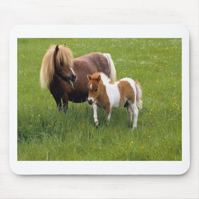 Mousepad Mães e bebês animais (17) (Frente)