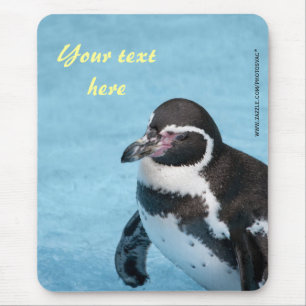 Mousepad Magellanic Penguin