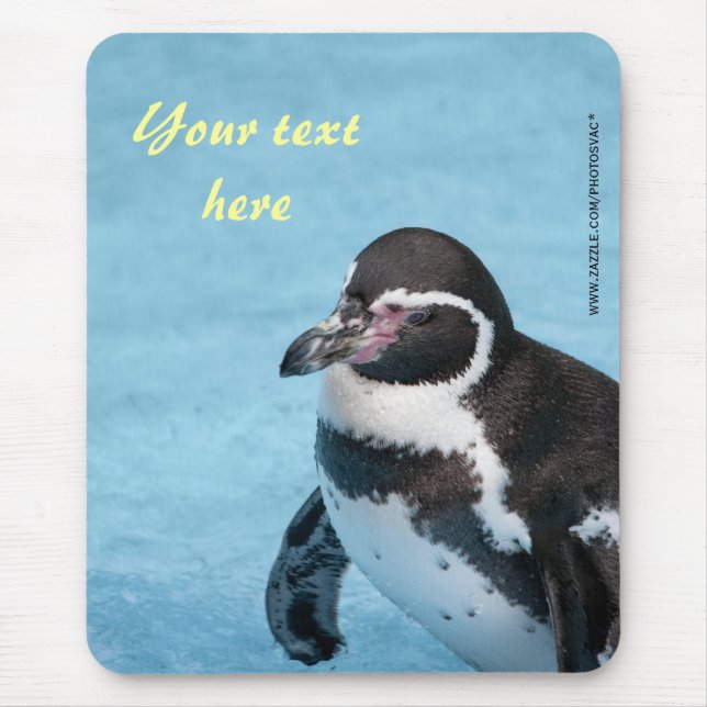 Mousepad Magellanic Penguin (Frente)