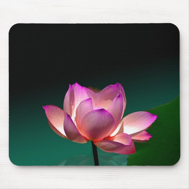 Mousepad Magenta Lotus no cheio, bloco de mouse (Frente)