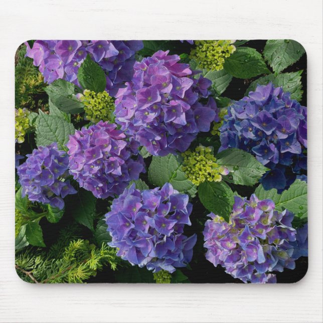 Mousepad Magenta verde-esverdeado-roxa-esverdeado-esverdead (Frente)
