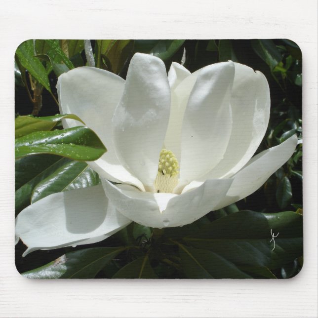 Mousepad magnólia (Frente)
