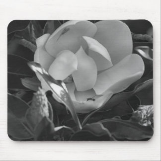 Mousepad Magnólia Atemporal