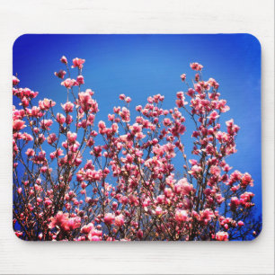 Mousepad Magnolia Blossomas Azul Céu Flor