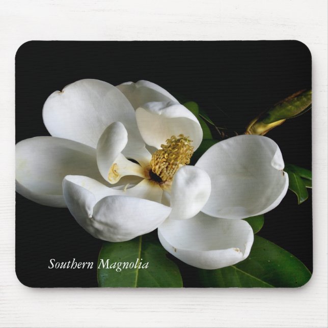 Mousepad Magnolia do Sul (Frente)