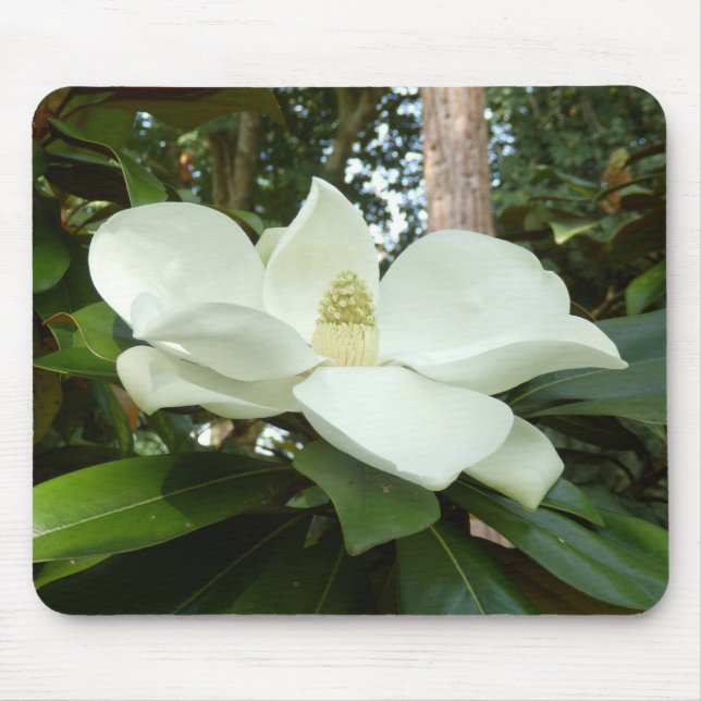 Mousepad Magnolia Grandiflora Mouse Mat (Frente)
