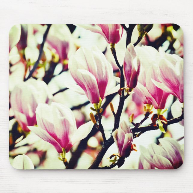 Mousepad Magnolia Vintage Floral Blossom Botânico Chic (Frente)
