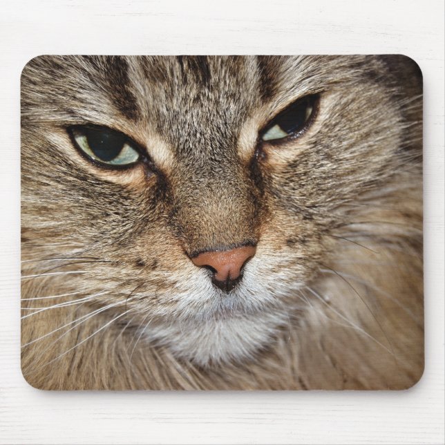 Mousepad Maine Coon Cat Macro (Frente)