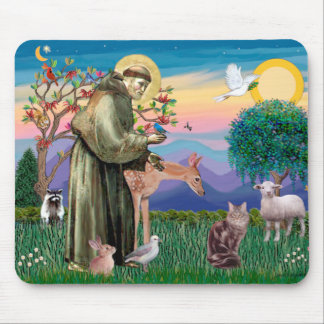 Mousepad Maine Coon Cat - Rua Francis