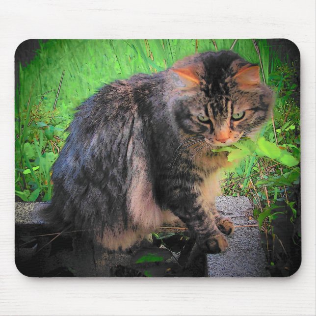 Mousepad Maine Coon Cat sobre tijolos (Frente)