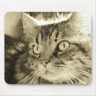 Mousepad Maine Coon Face 2