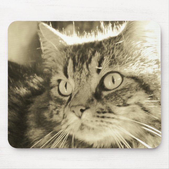Mousepad Maine Coon Face 2 (Frente)