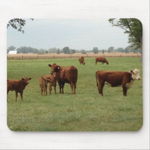 Mousepad mais vacas marrons