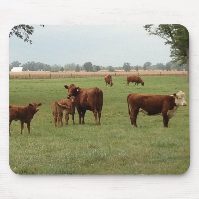 Mousepad mais vacas marrons (Frente)