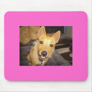 Mousepad "Maisie" o Jack Russell