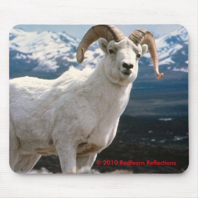 Mousepad Majestoso (Frente)