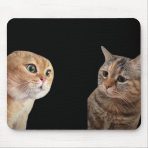 Mousepad Mala de Mouse de Gatos Falantes