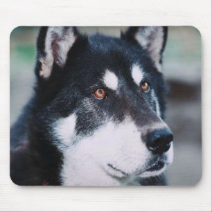 Mousepad Malamute do Alasca