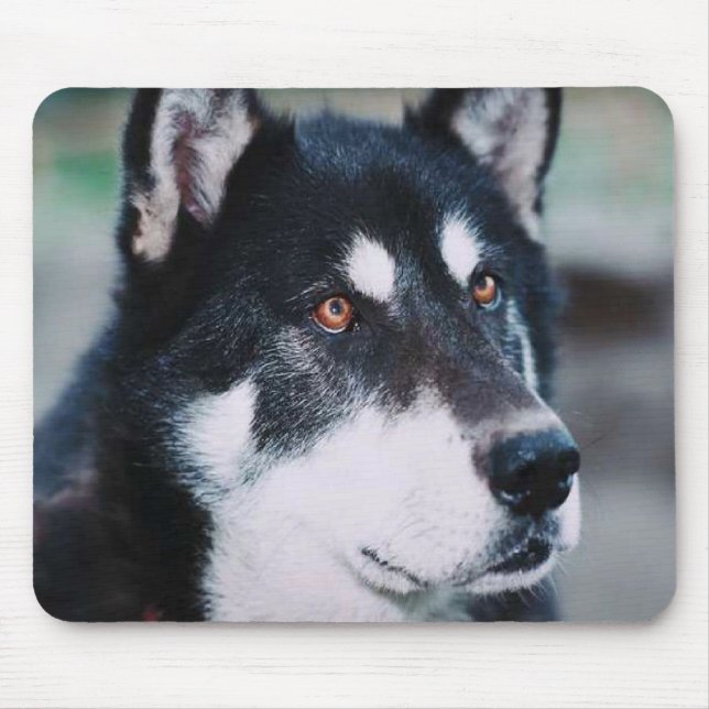 Mousepad Malamute do Alasca (Frente)