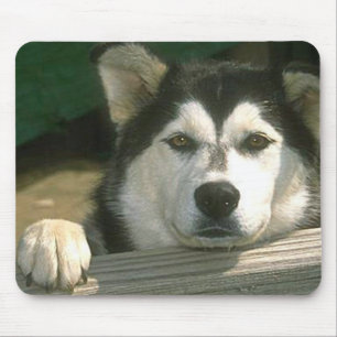 Mousepad Malamute do Alasca - Personalizado