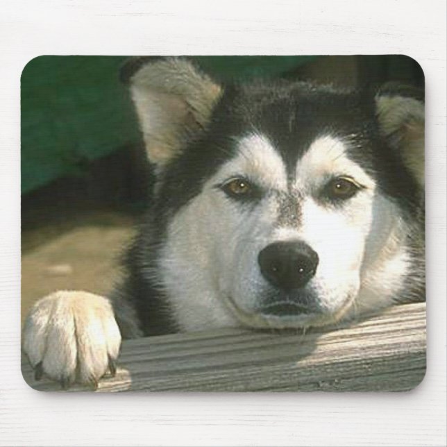 Mousepad Malamute do Alasca - Personalizado (Frente)