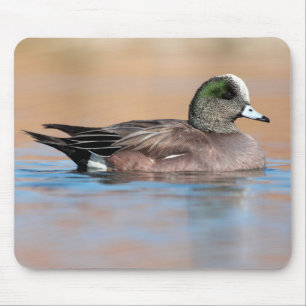 Mousepad Male American Wigeon