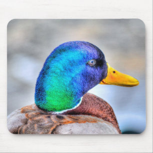 Mousepad Male Mallard Duck Birdlover Wildlife Retrato