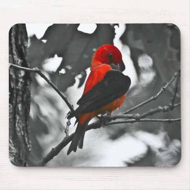 Mousepad Male Scarlet Tanager (Frente)