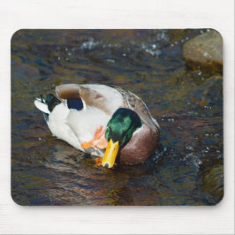 Mousepad Mallard Drake