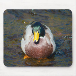 Mousepad Mallard Drake