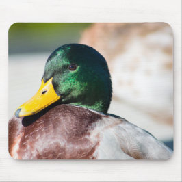 Mousepad Mallard Drake