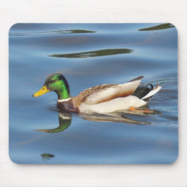 Mousepad Mallard Duck (Frente)