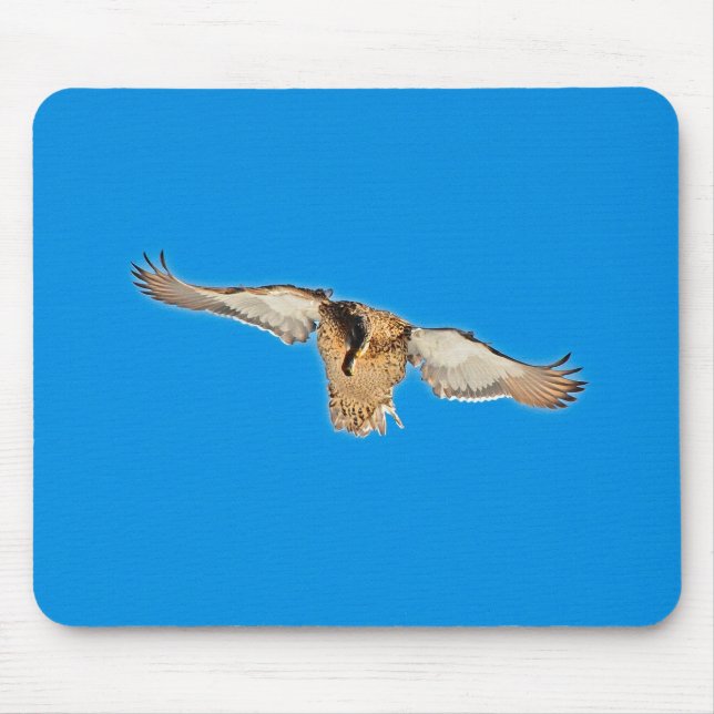 Mousepad Mallard Duck Birdlover Wildlife Foto (Frente)